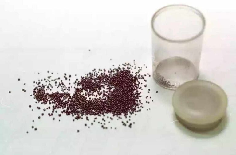 Condenação da Volks por trabalho escravo é histórica, diz procurador