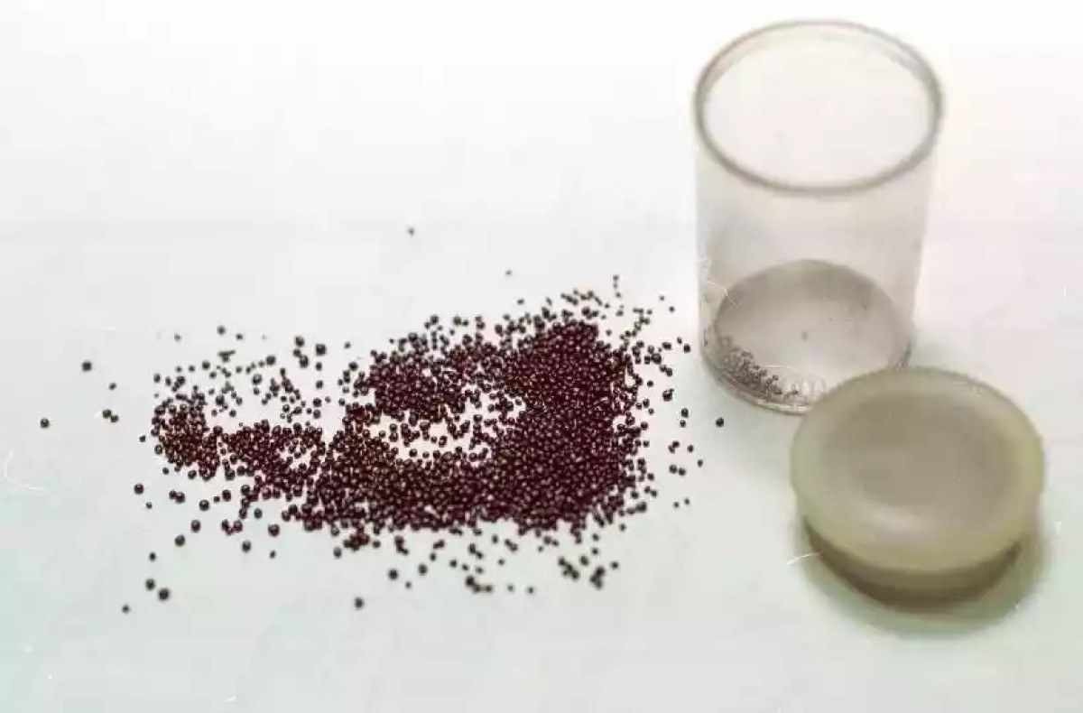 Condenação da Volks por trabalho escravo é histórica, diz procurador